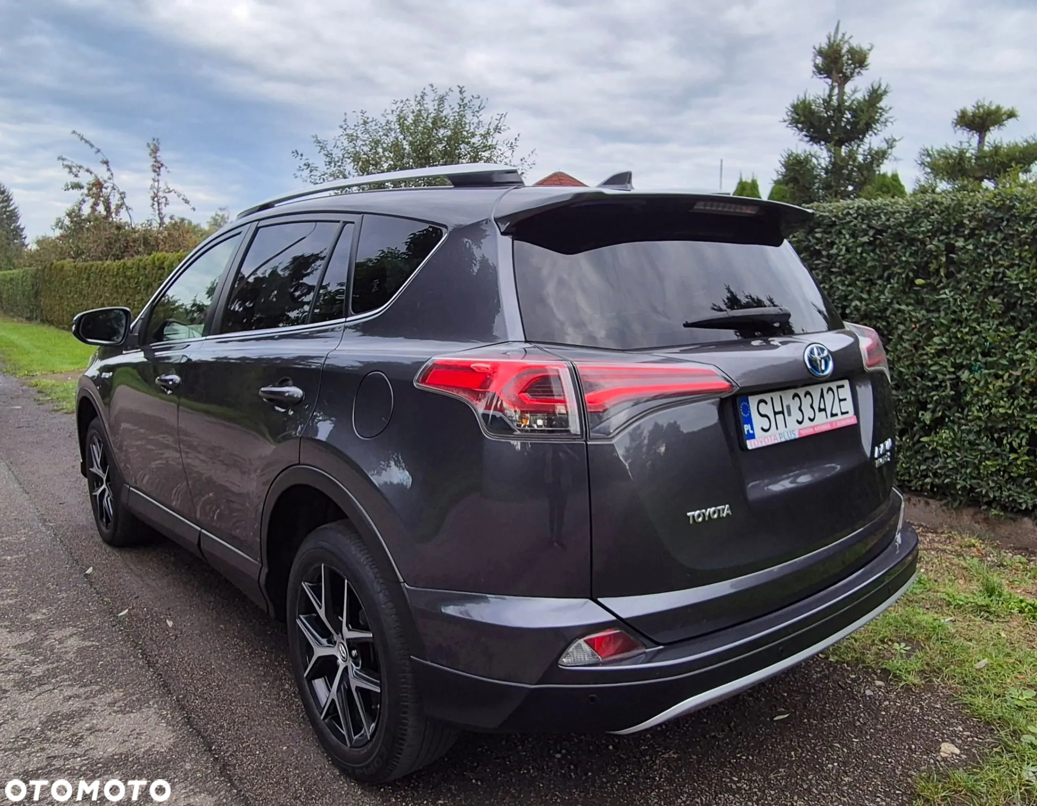 Toyota RAV4 Hybrid Platinum 4x2 - 2
