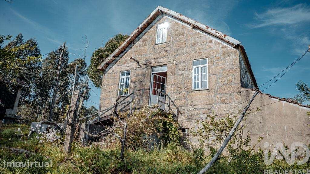 Terreno Agrícola em Carvalhais e Candal - Grande imagem: 3/29