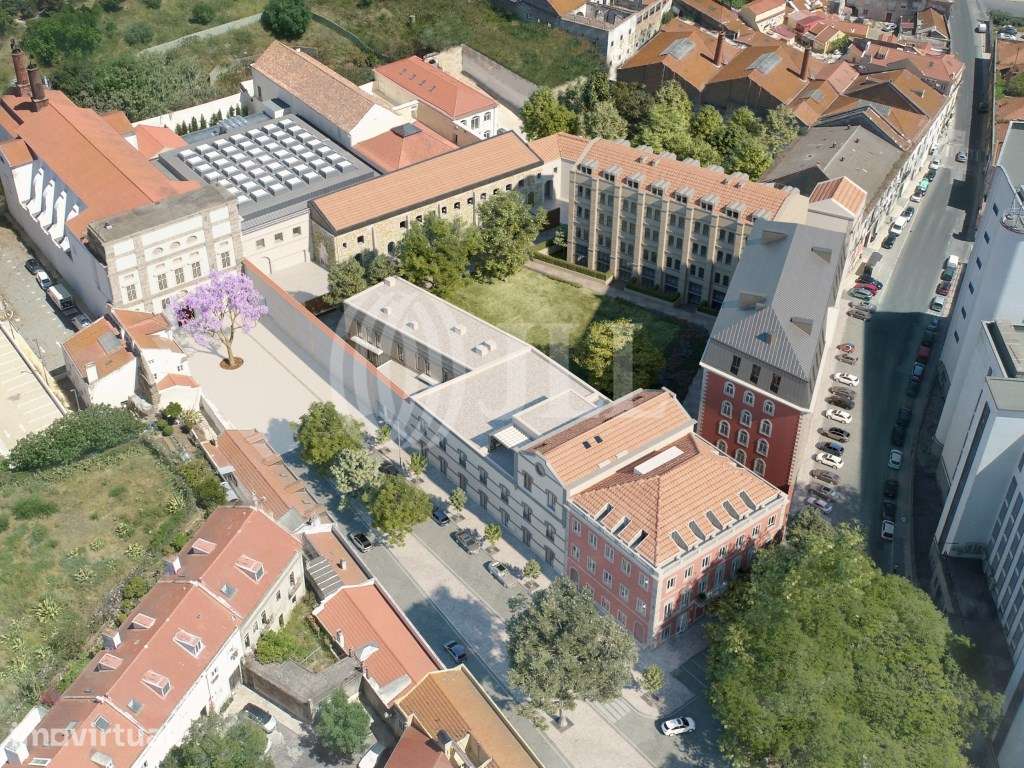 Beato Quarter