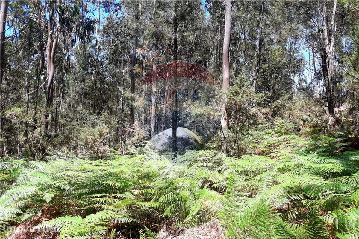 Terreno  para venda - Grande imagem: 2/5