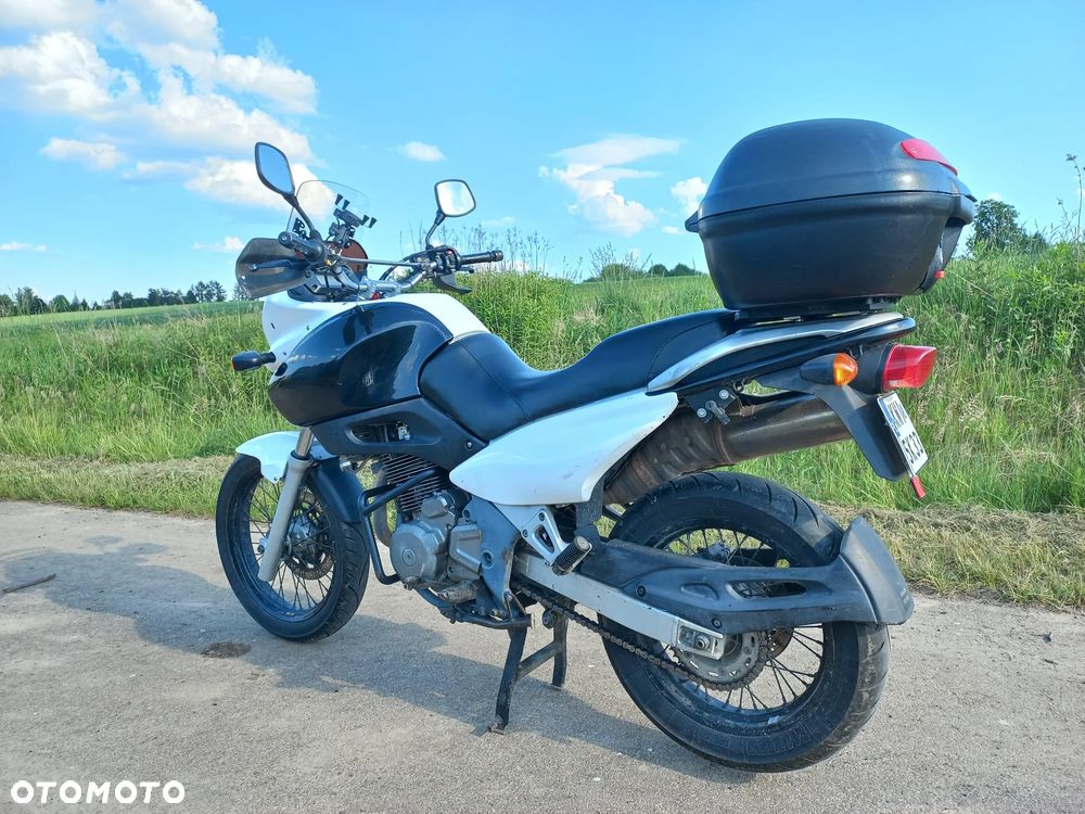 Suzuki XF - 19