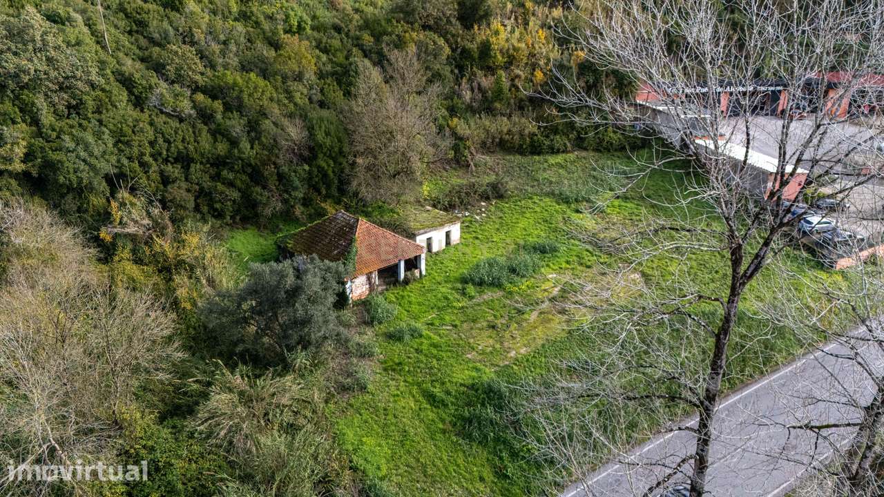 Ruína com terreno de 9800m2 em Alcobaça – Oportunidade Única de invest - Grande imagem: 2/19