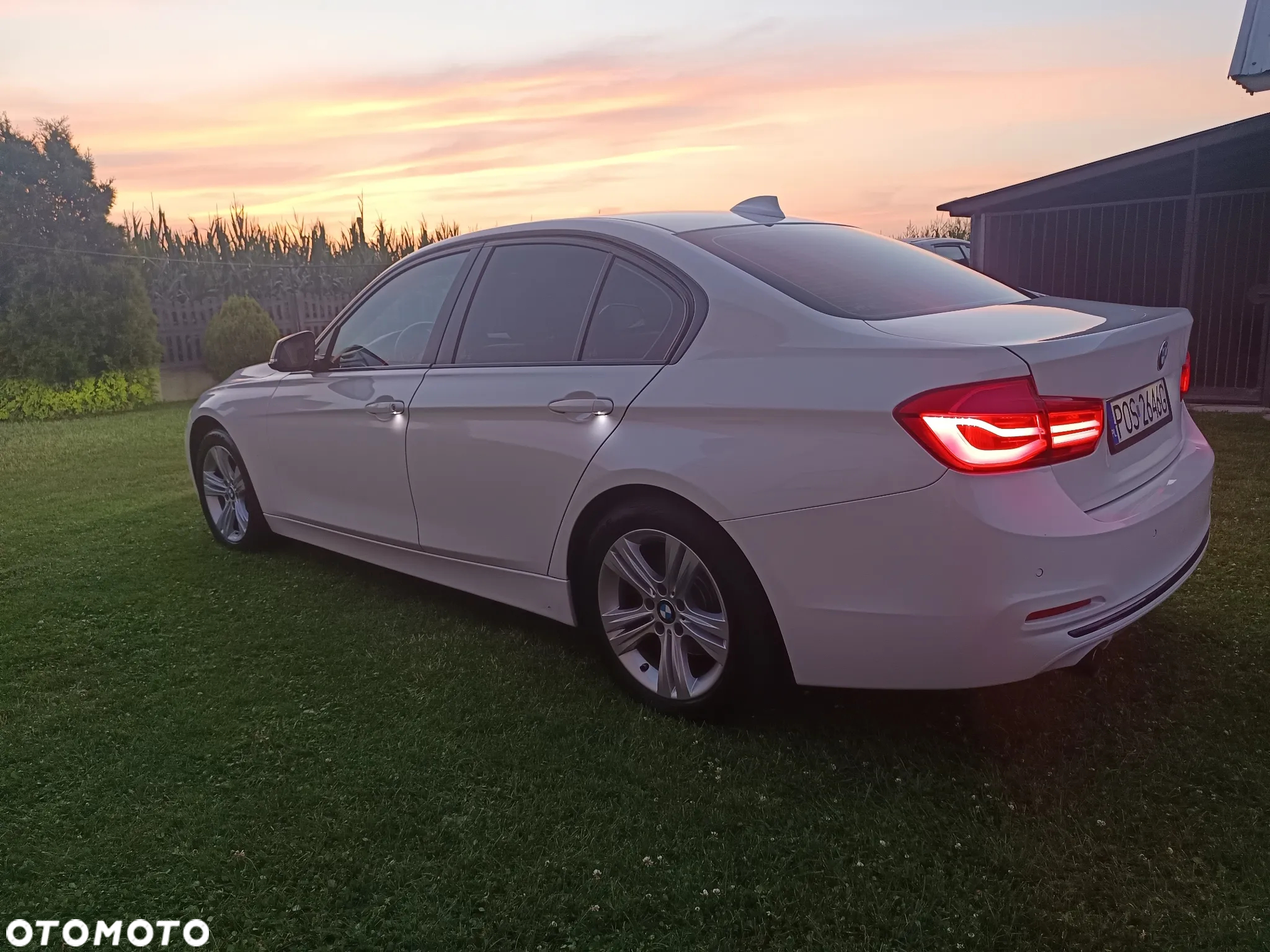 BMW Seria 3 316d M Sport Shadow - 7