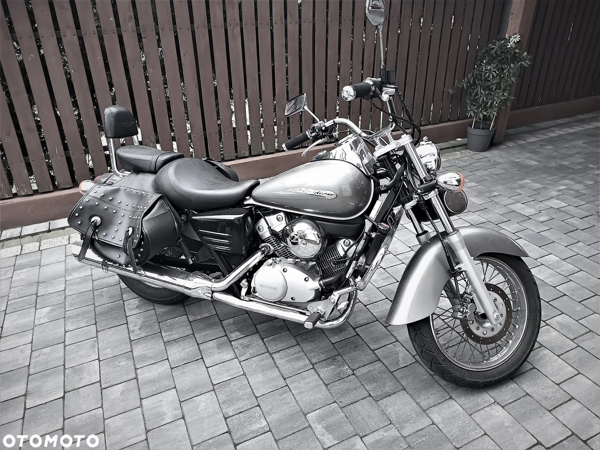 Honda Shadow - 1