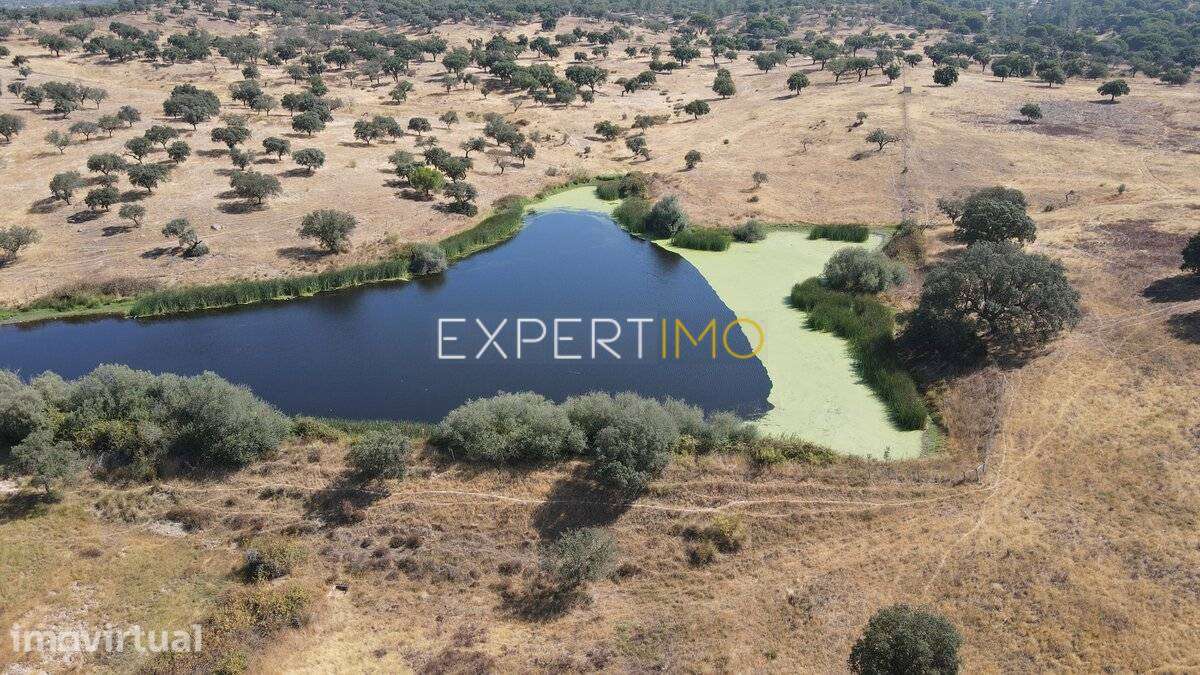 Herdade com 81,79 ha - Mora - Grande imagem: 3/11