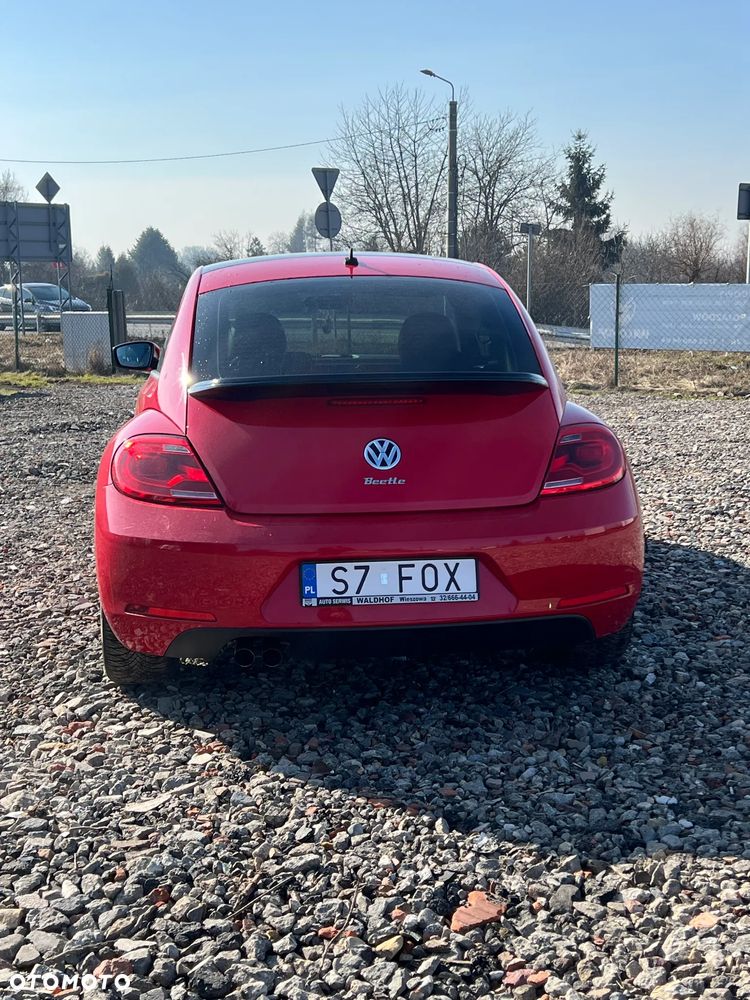 Volkswagen Beetle - 4