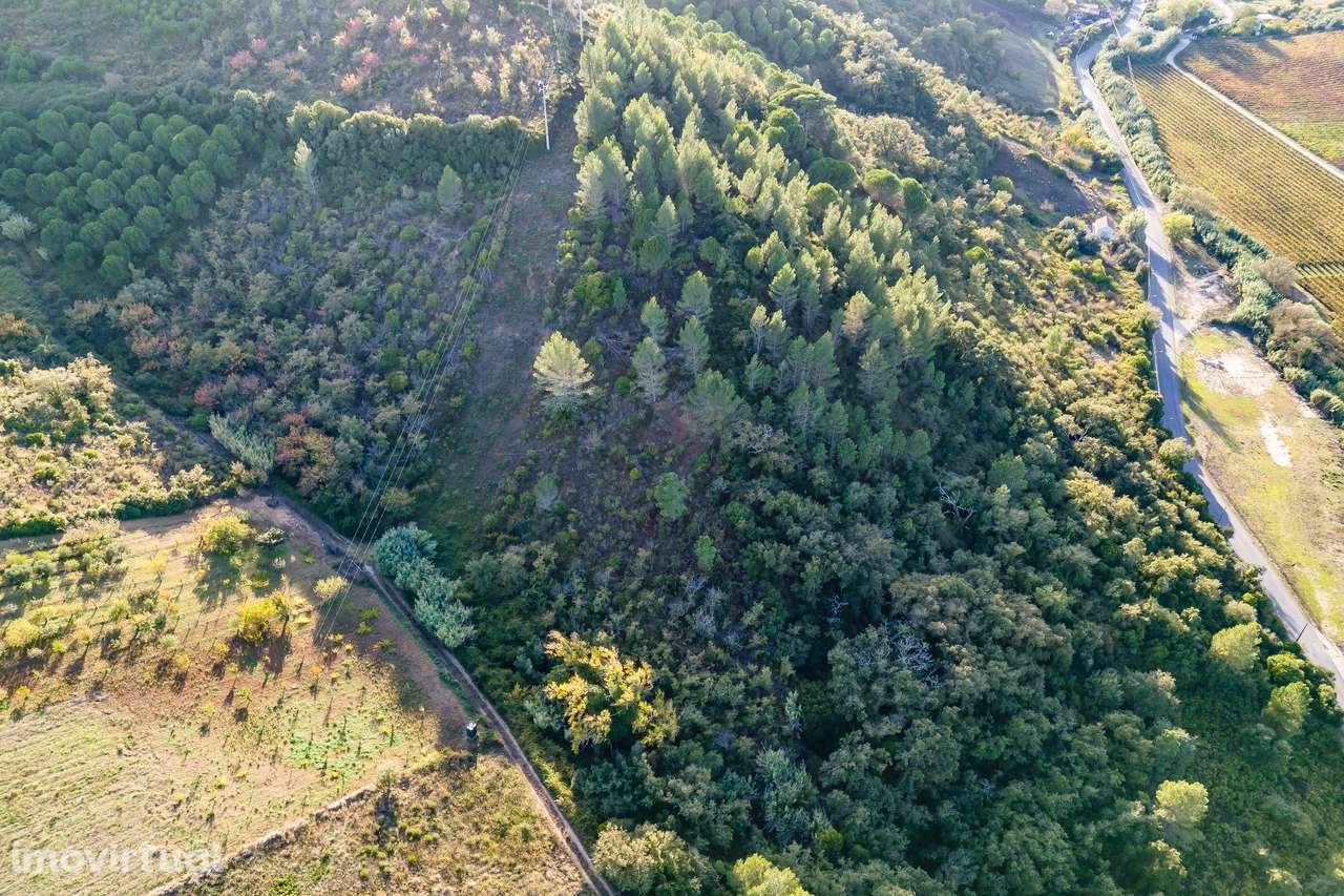TERRENO RÚSTICO | 7.760 M2 | MECA | ALENQUER - Grande imagem: 3/5