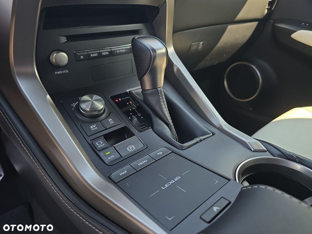 Lexus NX 300h F Sport Edition AWD - 14