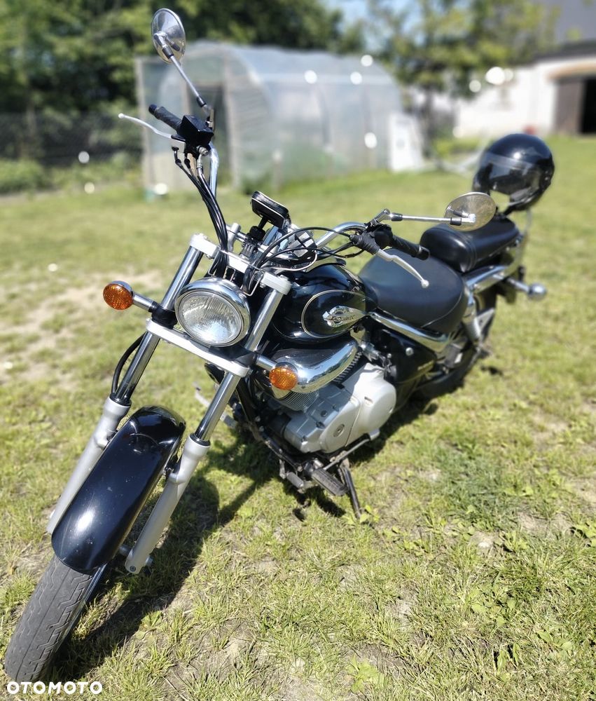 Suzuki Intruder - 3