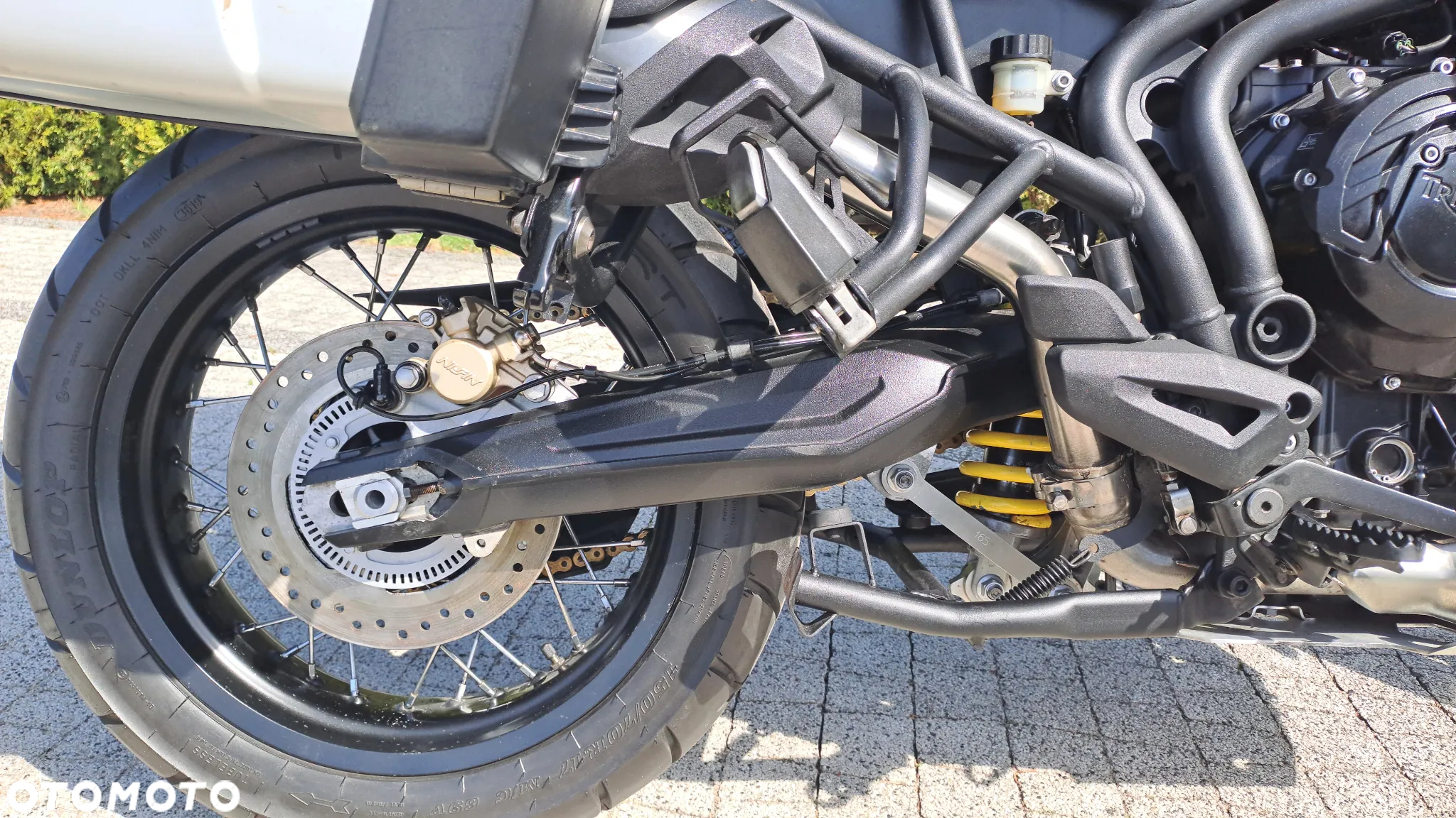 Triumph Tiger - 24