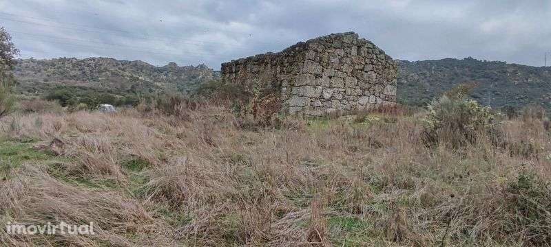 Terreno Rustico com Casa Antiga - Grande imagem: 3/11