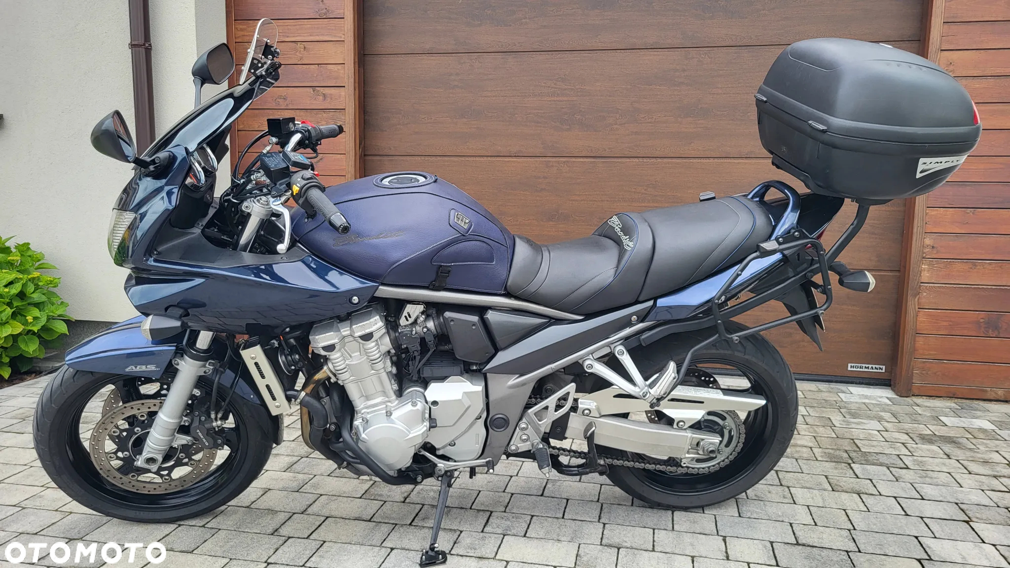 Suzuki Bandit - 15