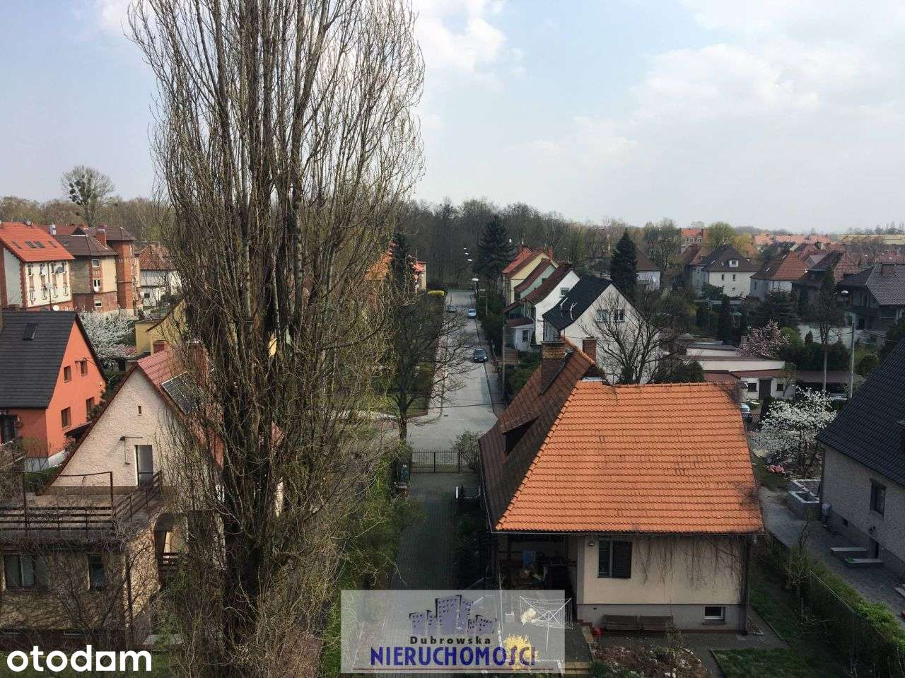 ok. Parku Chorzowskiego