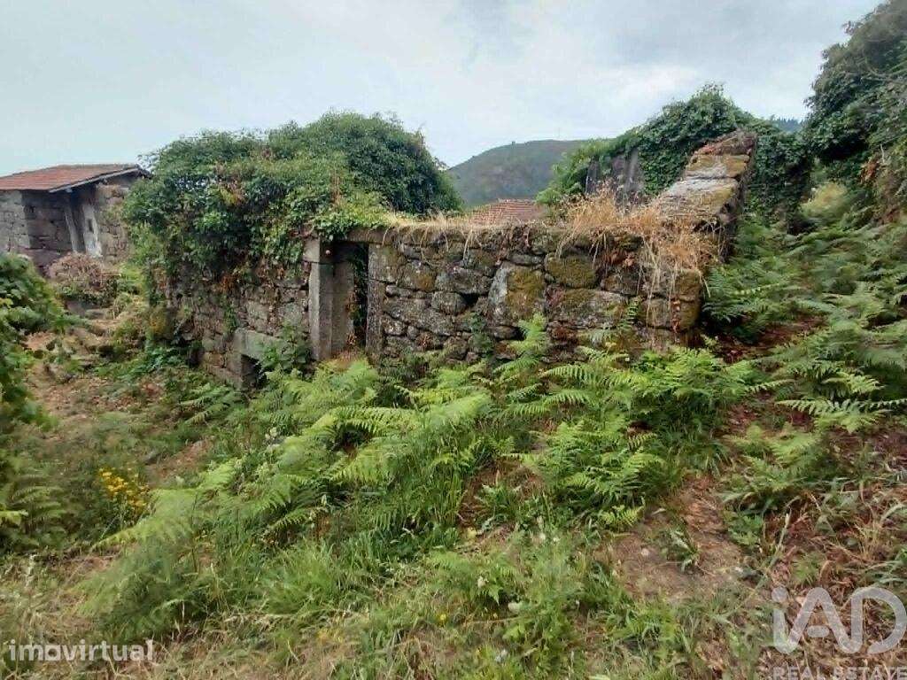 Terreno Agrícola em Chaviães e Paços - Grande imagem: 2/10