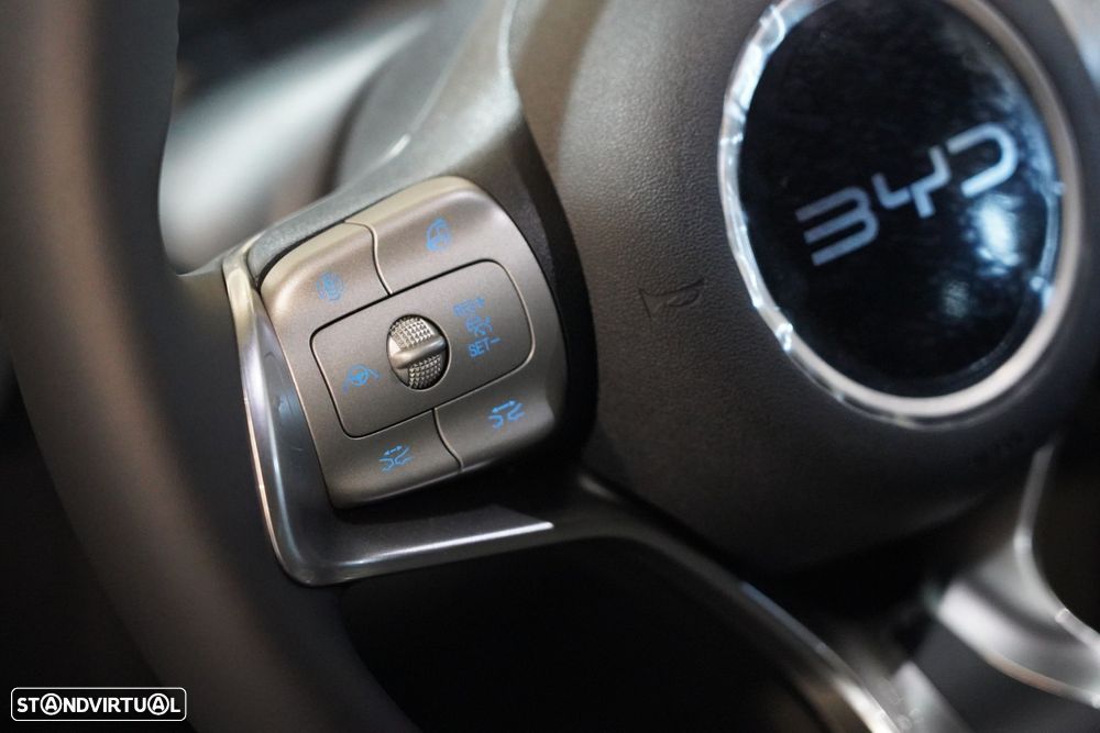 BYD Dolphin Surf 43.2 kWh Comfort - 10