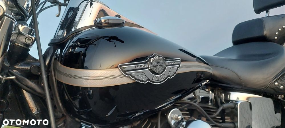 Harley-Davidson Softail - 26