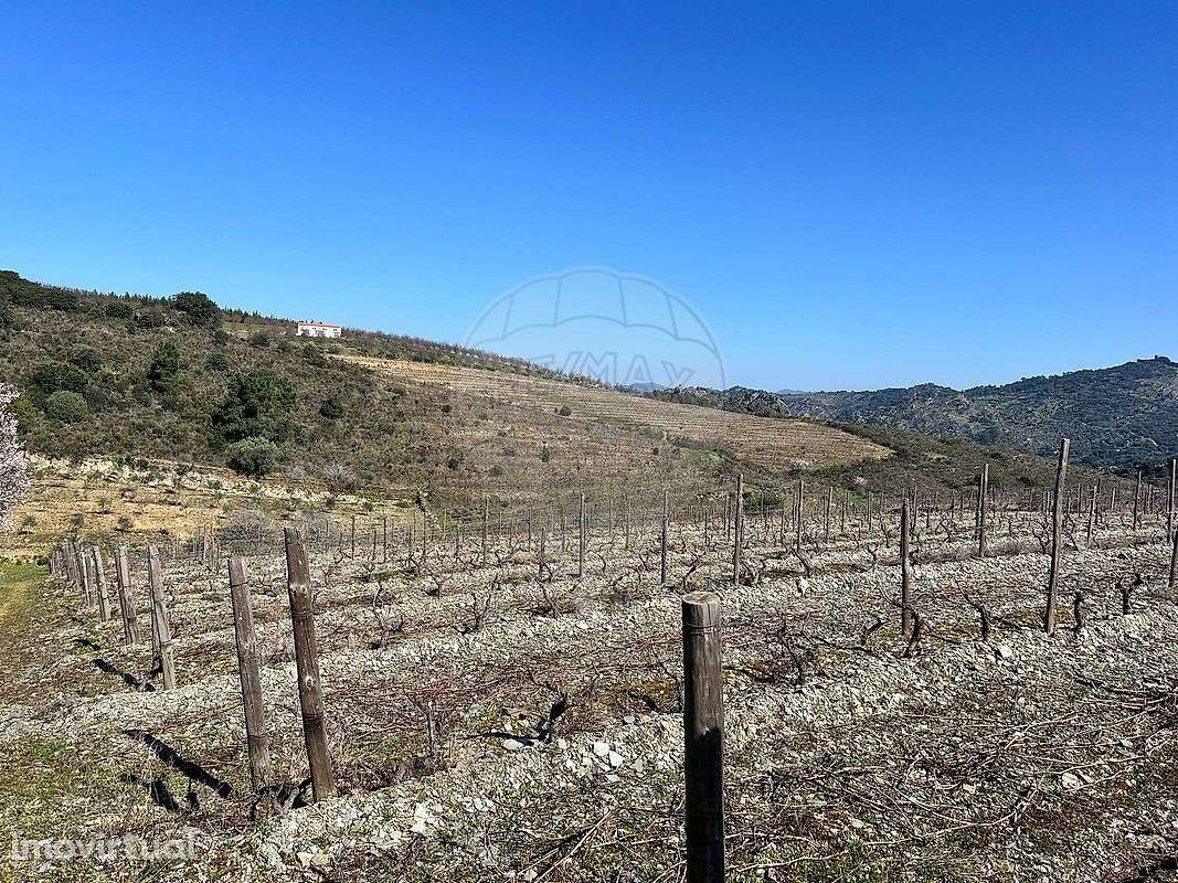 Terreno  para venda - Grande imagem: 5/17