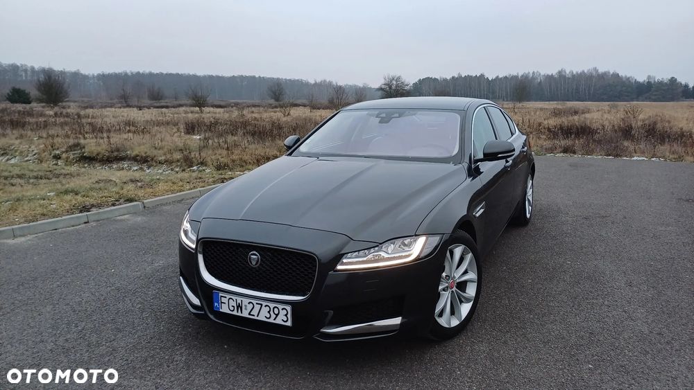 Jaguar XF 20d AWD Prestige - 1
