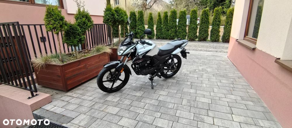 Yamaha YS - 1