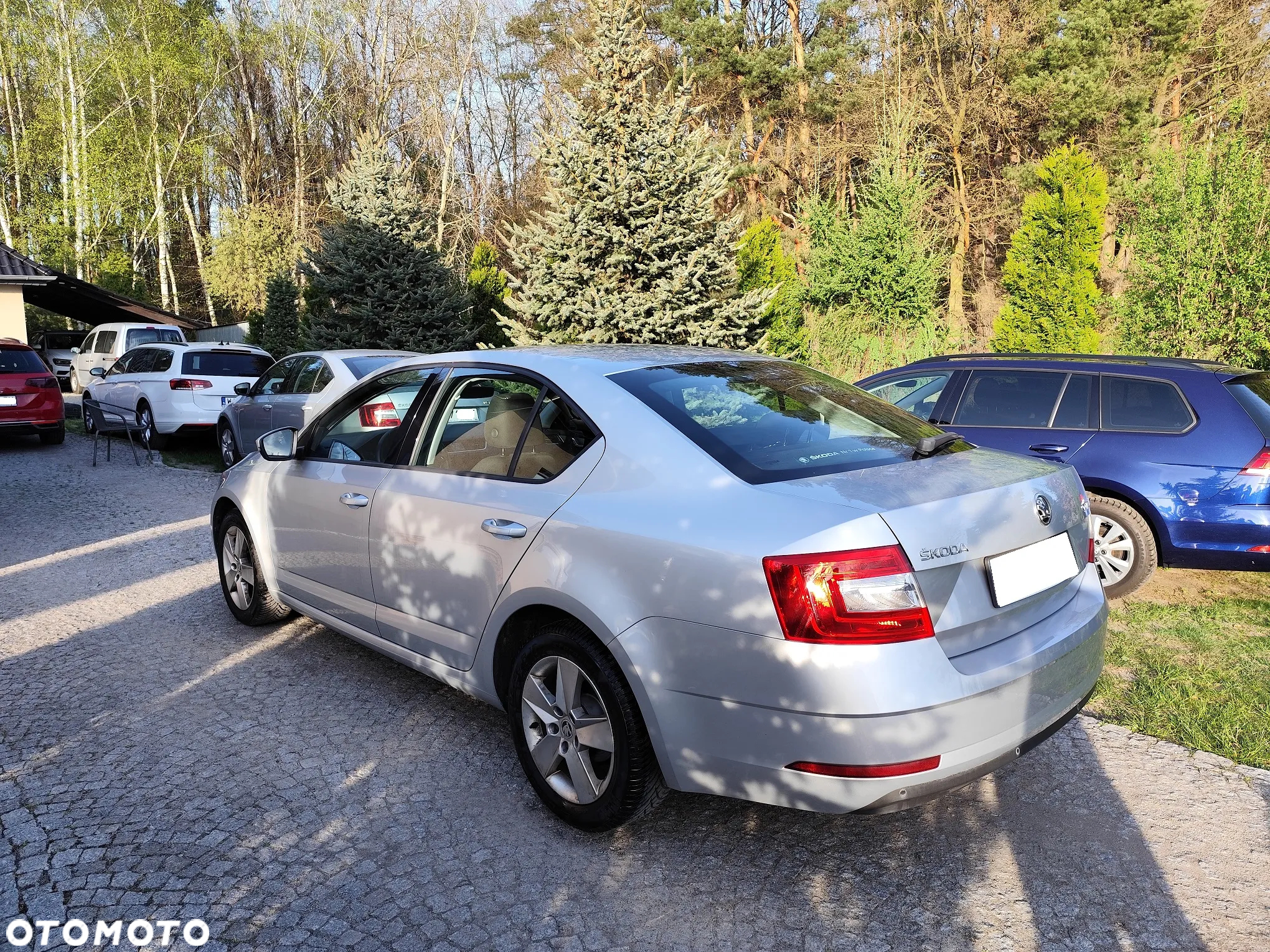 Skoda Octavia - 11