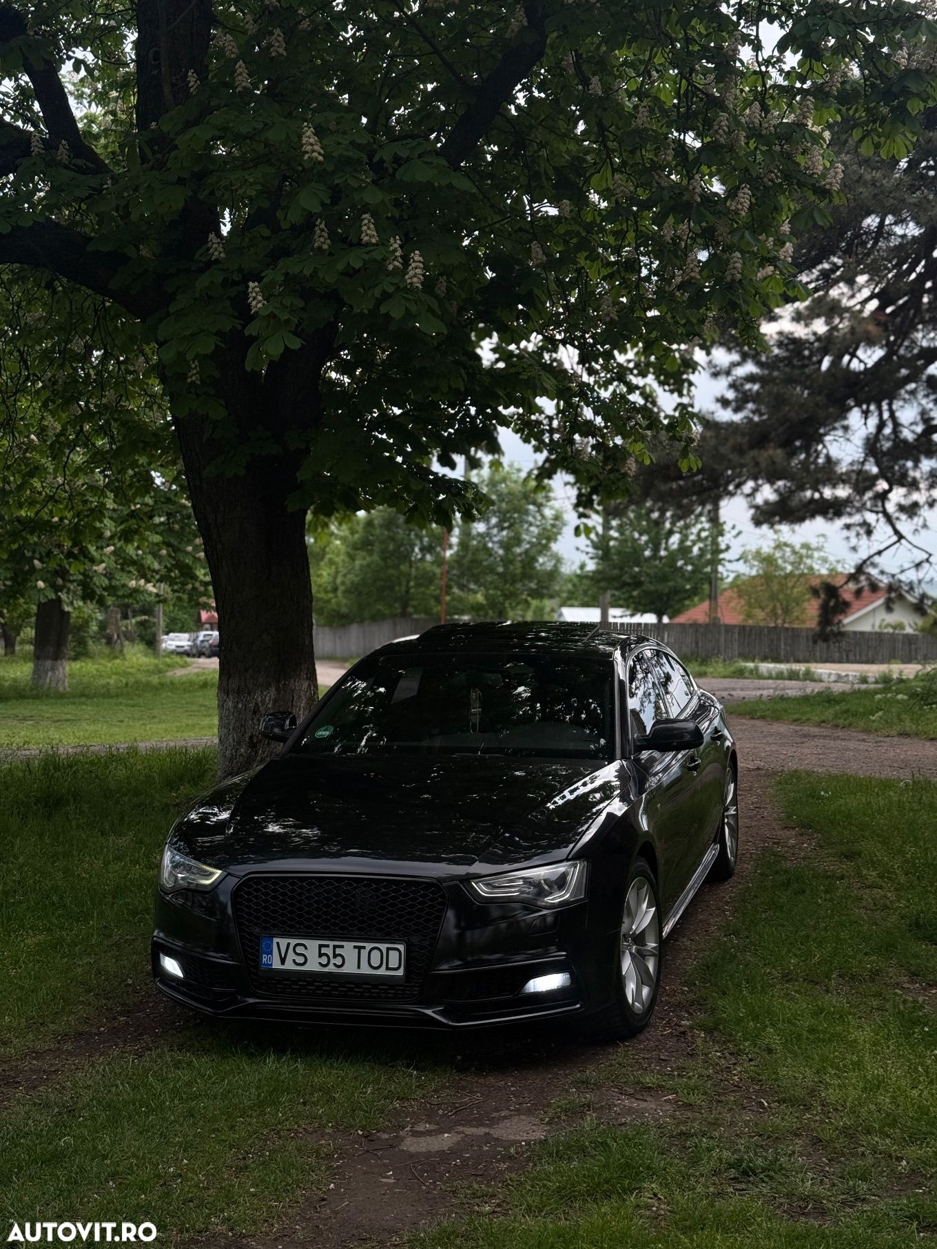 Audi A5 Sportback 3.0 TDI Multitronic - 1
