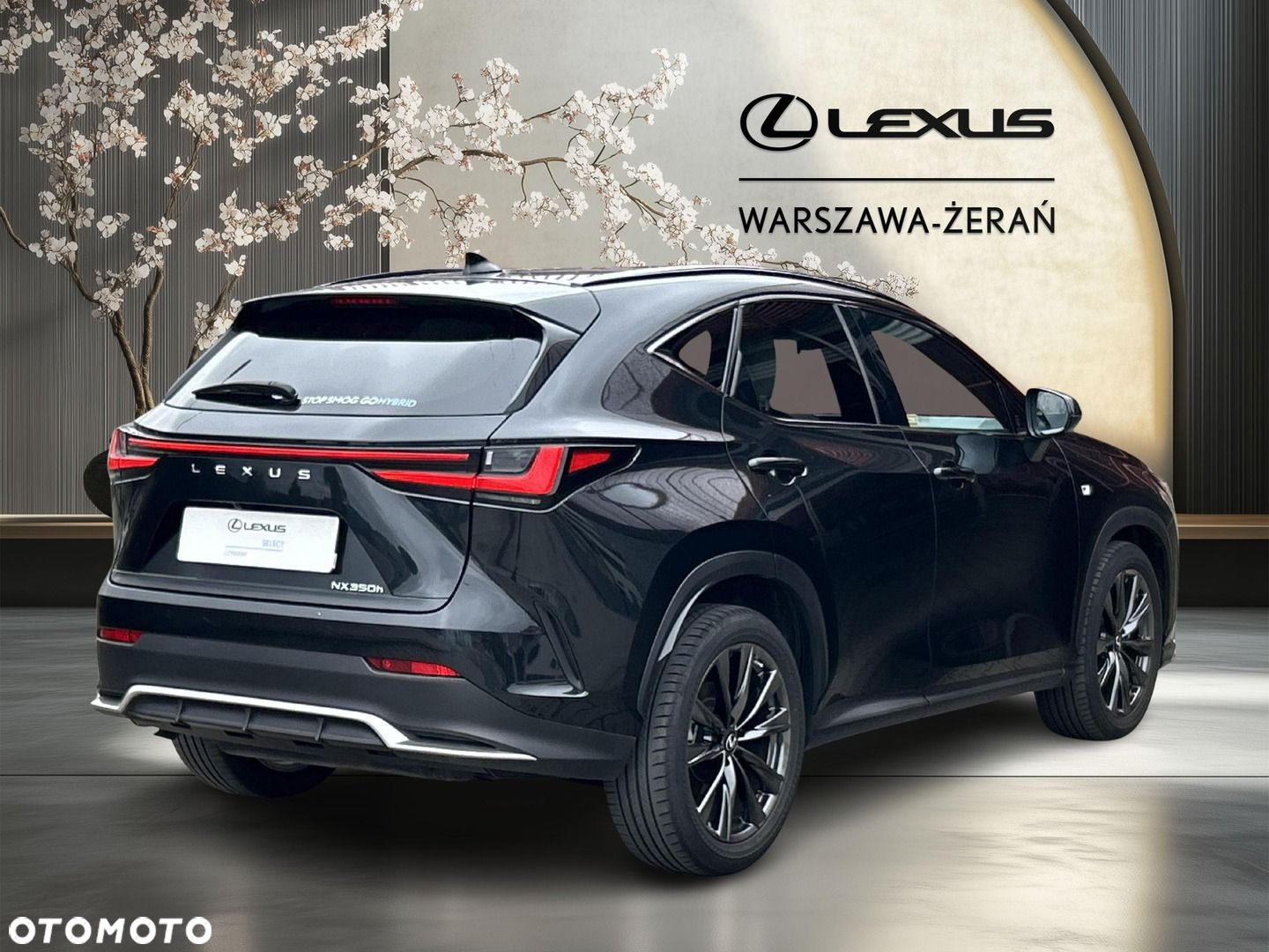 Lexus NX - 10