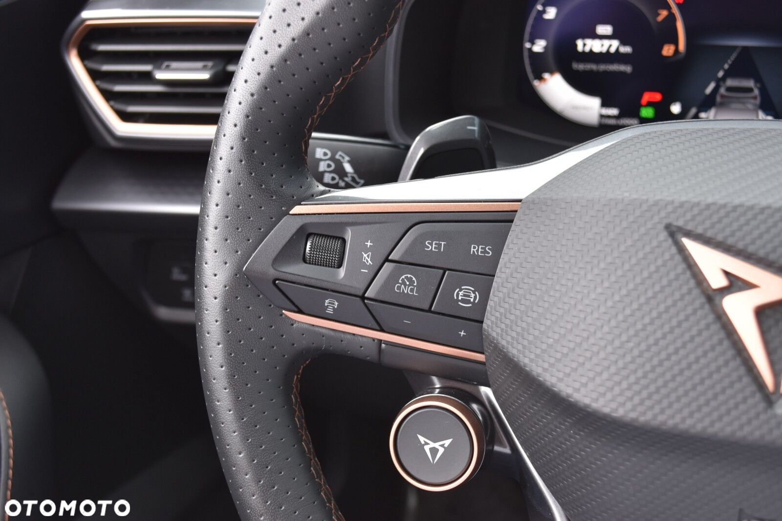 Cupra Formentor 1.5 TSI DSG - 24