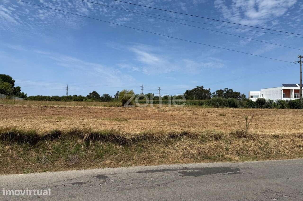 Terreno com 130m de frente | 3280m2 de area | Oliveira do Bairro - Grande imagem: 5/17