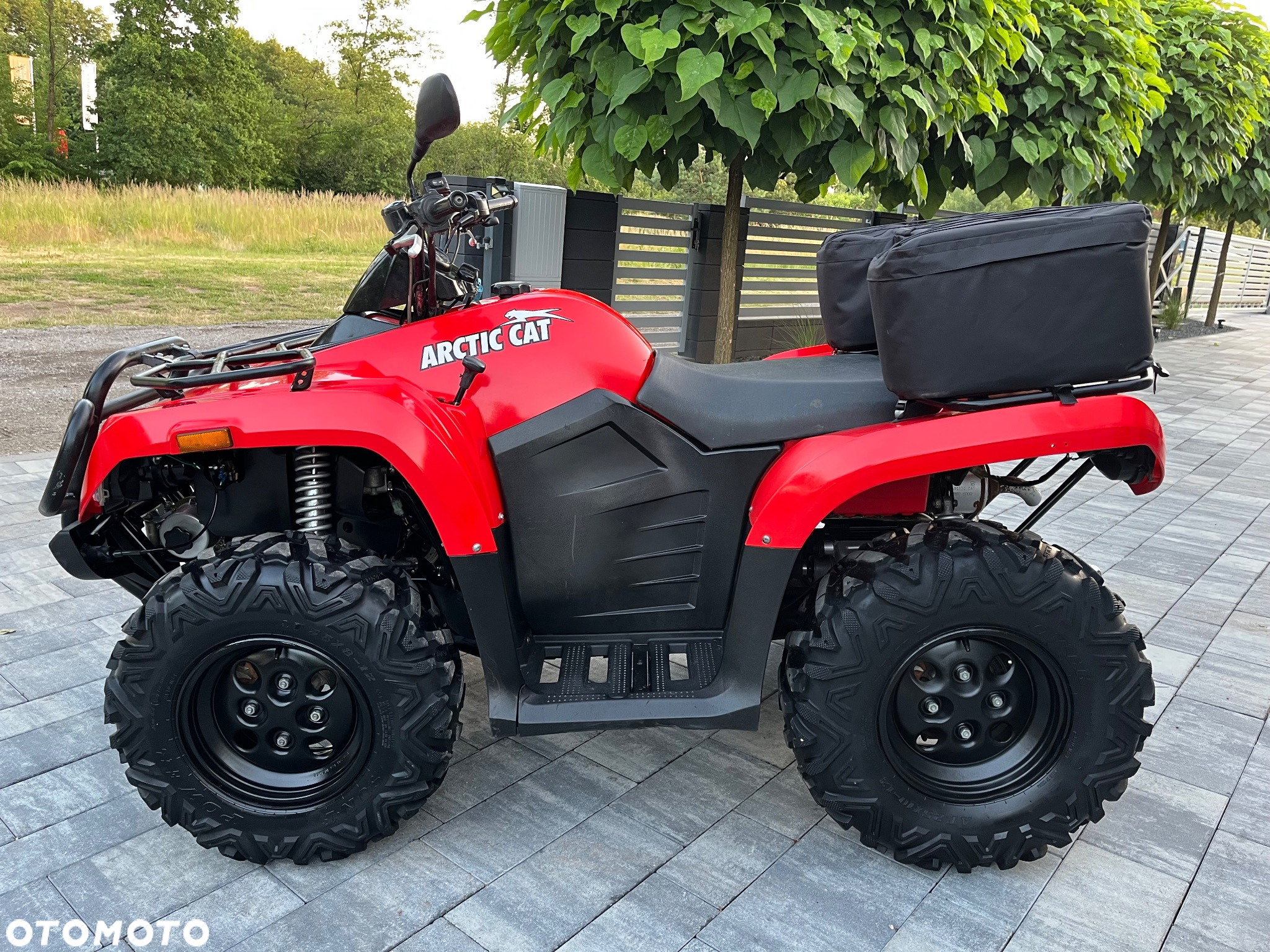 Arctic Cat Inny