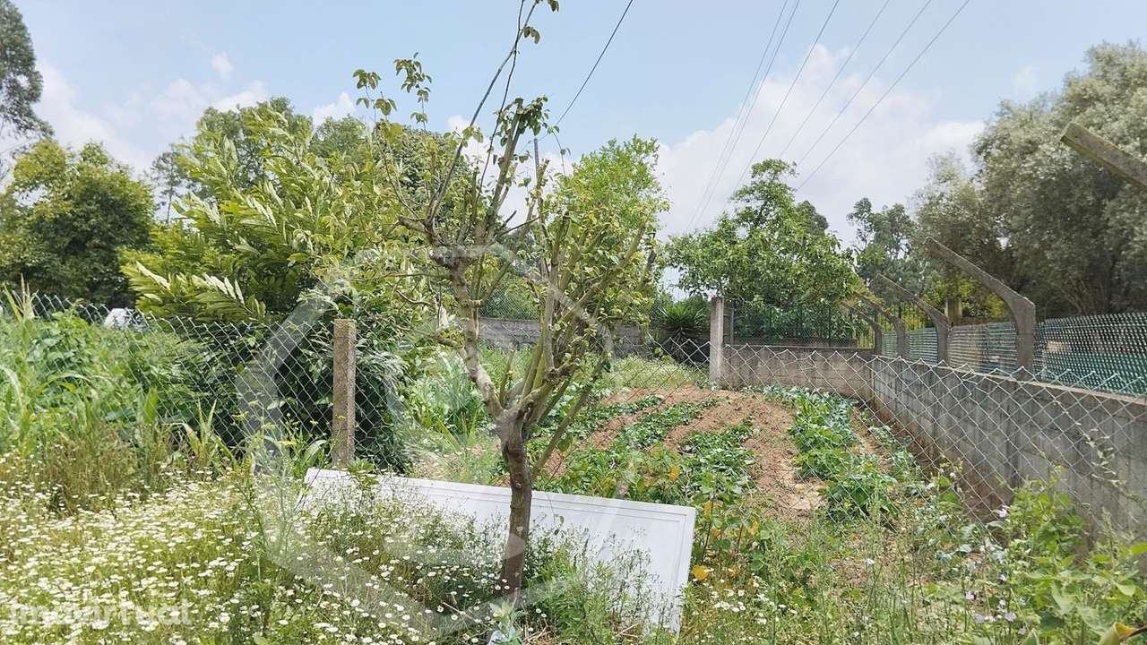 TERRENO URBANO - ZONA SOSSEGADA ! - Grande imagem: 5/8