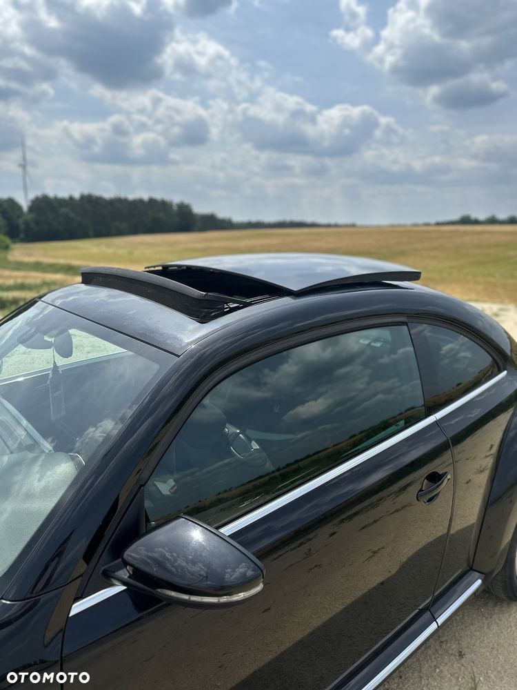 Volkswagen Beetle - 8