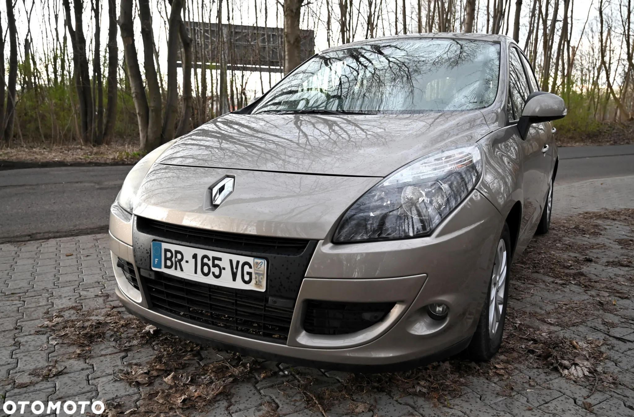 Renault Scenic - 4