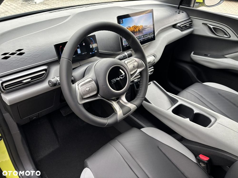 BYD Dolphin Surf - 9