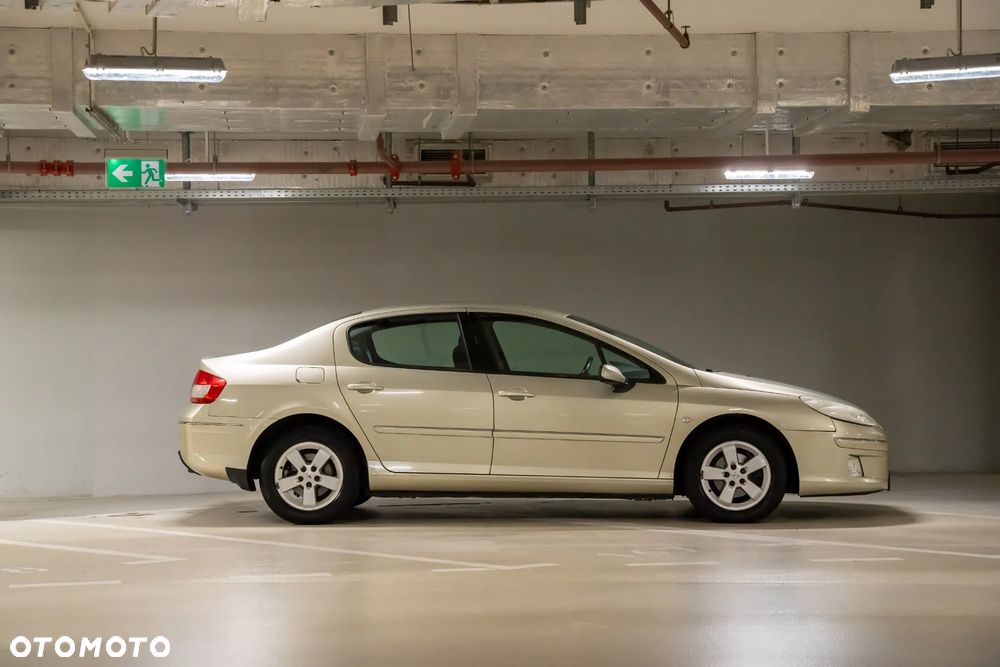 Peugeot 407 - 6