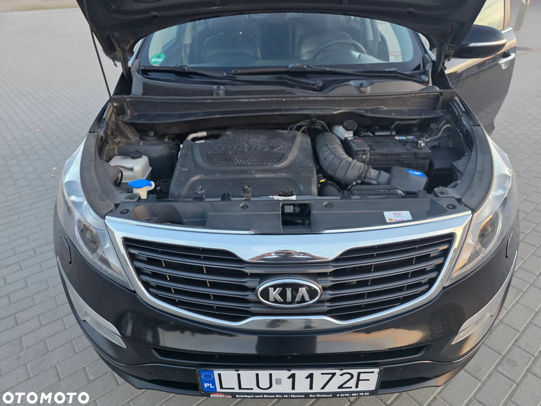 Kia Sportage 2.0 CRDI 184 4WD Automatik Fifa World Cup Edition - 27