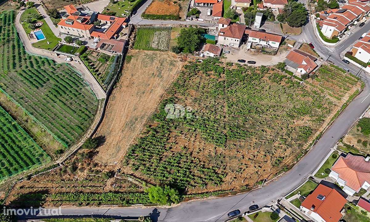 Quinta 13.000m² - Antas - Grande imagem: 5/11