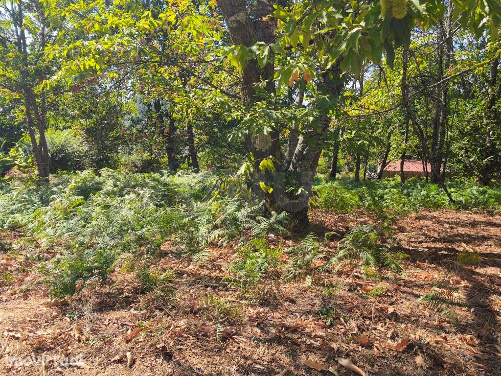 Prédio rústico em zona de construção - Grande imagem: 3/8