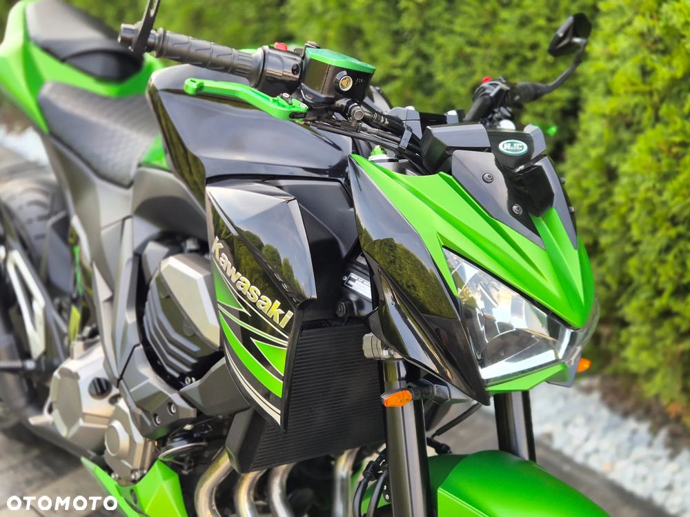 Kawasaki Z - 10