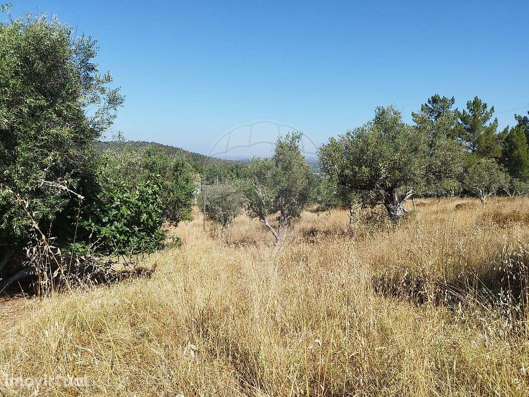 Terreno  para venda - Grande imagem: 5/18