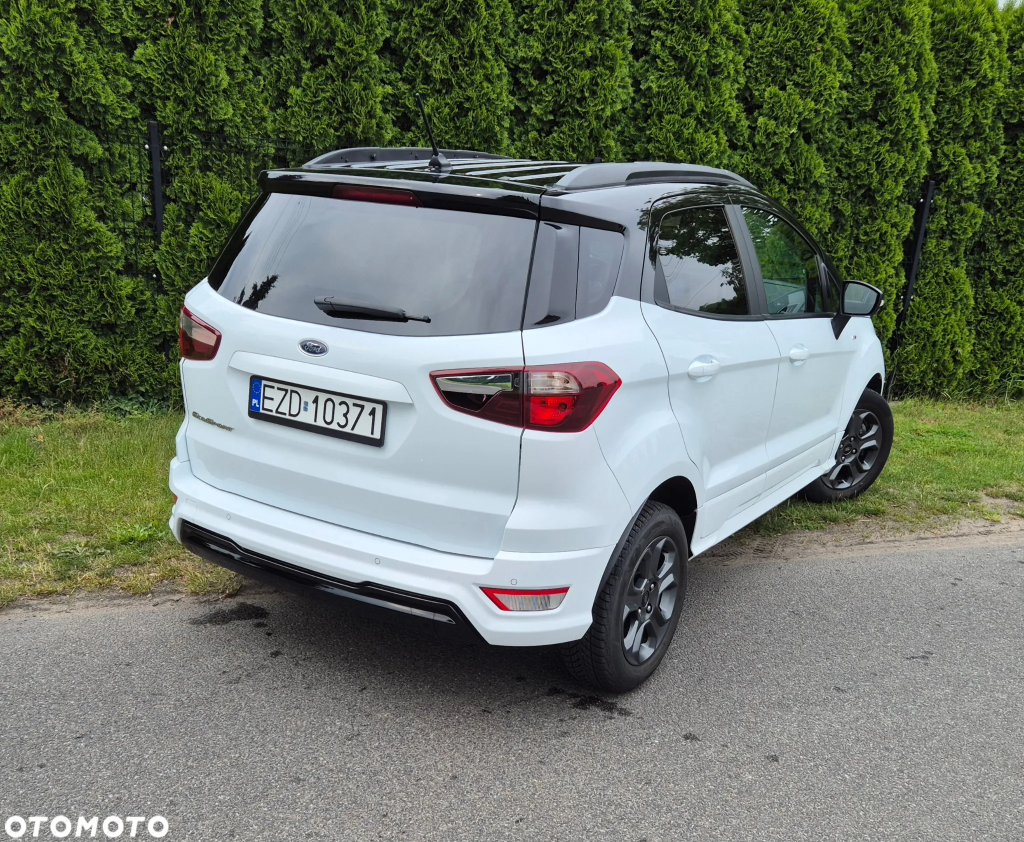 Ford Fiesta - 22
