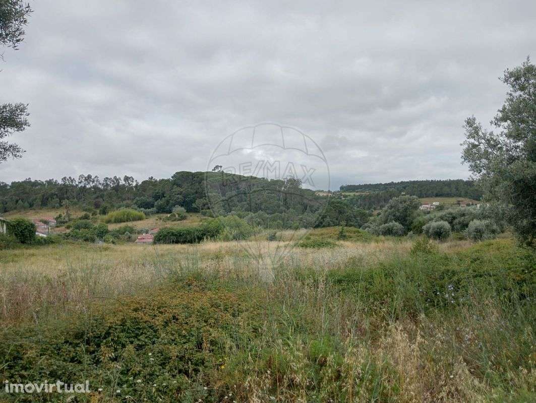 Terreno  para venda - Grande imagem: 4/11