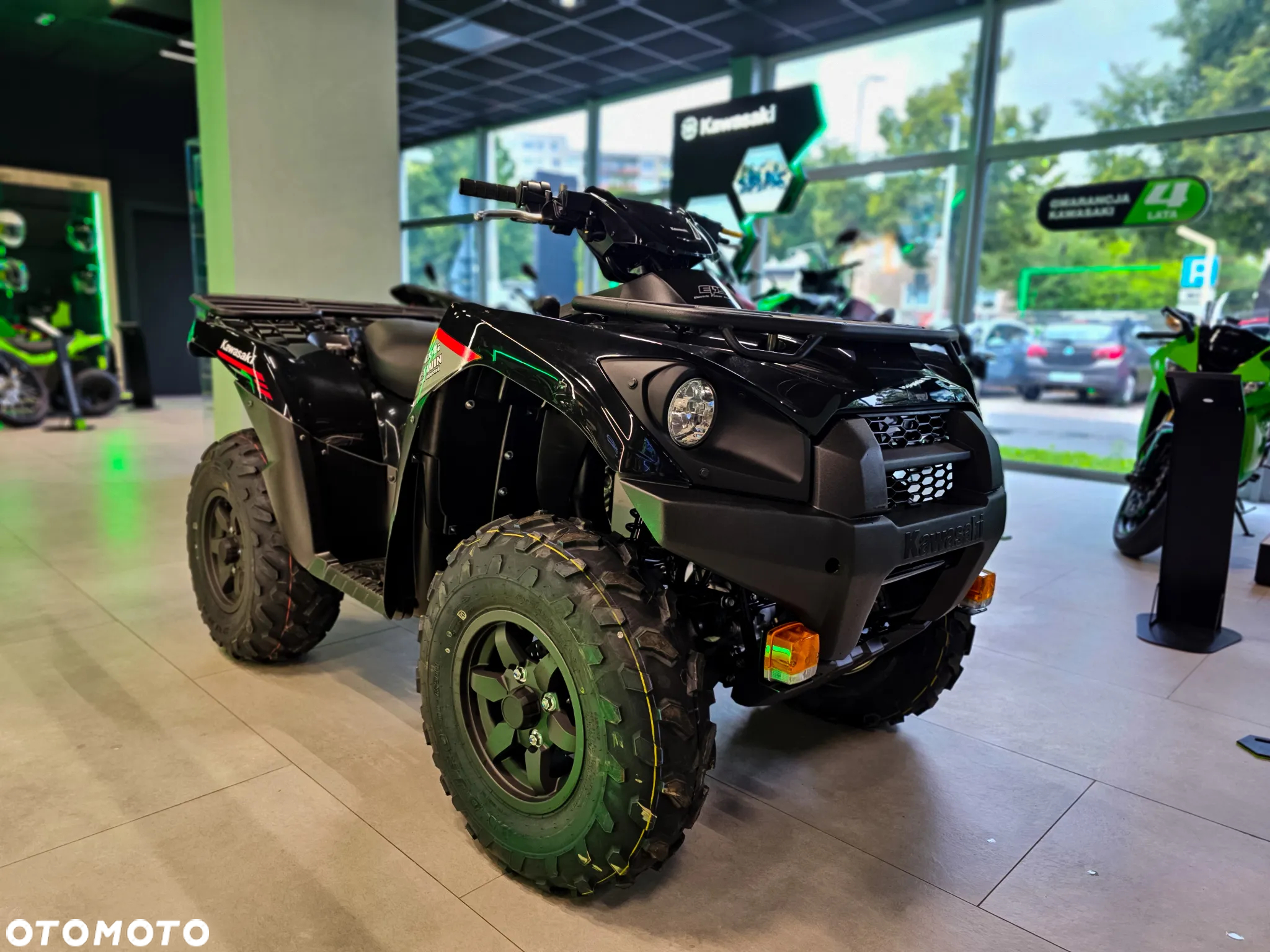 Kawasaki Brute Force - 10