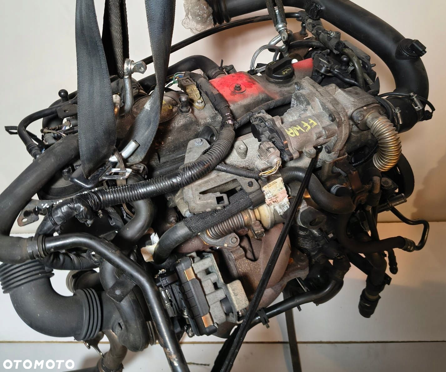 SILNIK KOMPLETNY FORD FOCUS C-MAX Ford Galaxy 1.8 TDCI, FFWA - 4