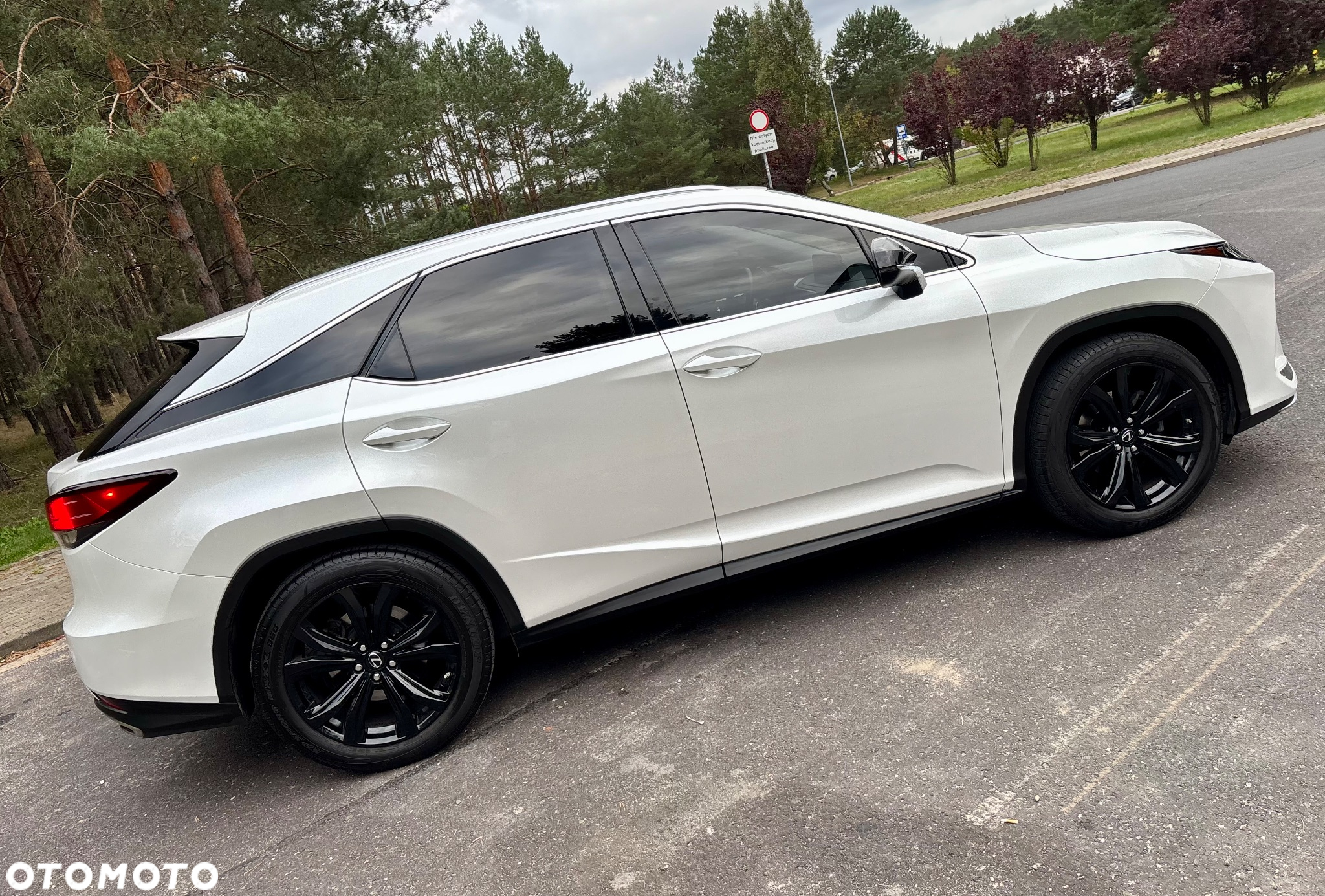 Lexus RX 300 Business Edition + - 8