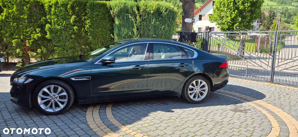 Jaguar XF 30d Prestige - 13