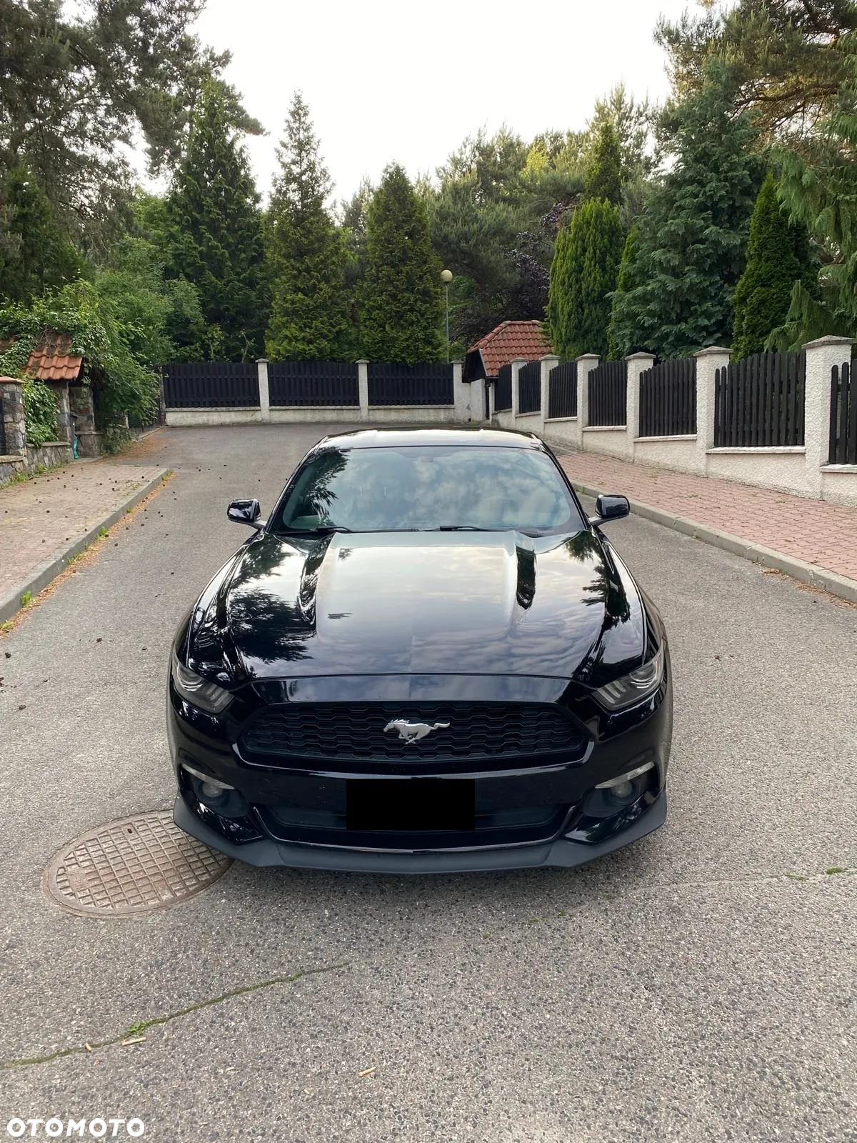 Ford Mustang - 2