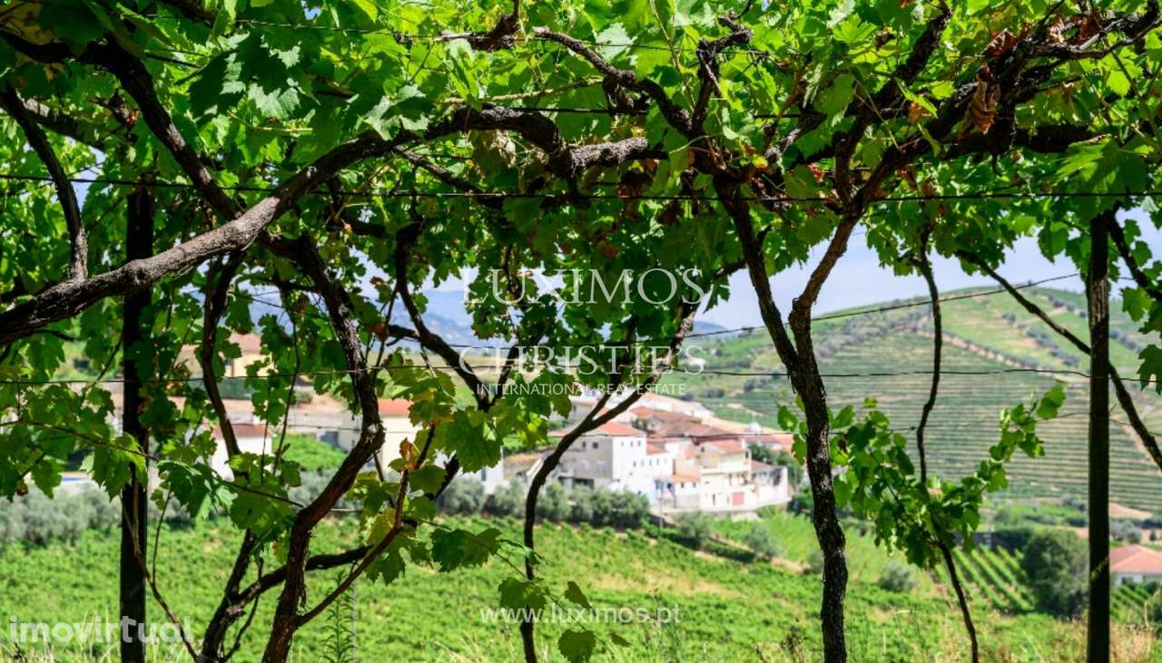 Quinta do Eidinho à venda no Douro Valley em Santa Marta de Penaguiã - Grande imagem: 3/22
