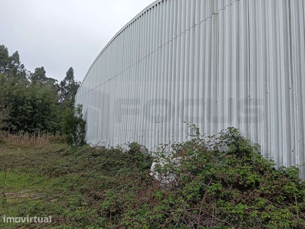 Pavilhão Industrial - Vagos - Grande imagem: 4/4