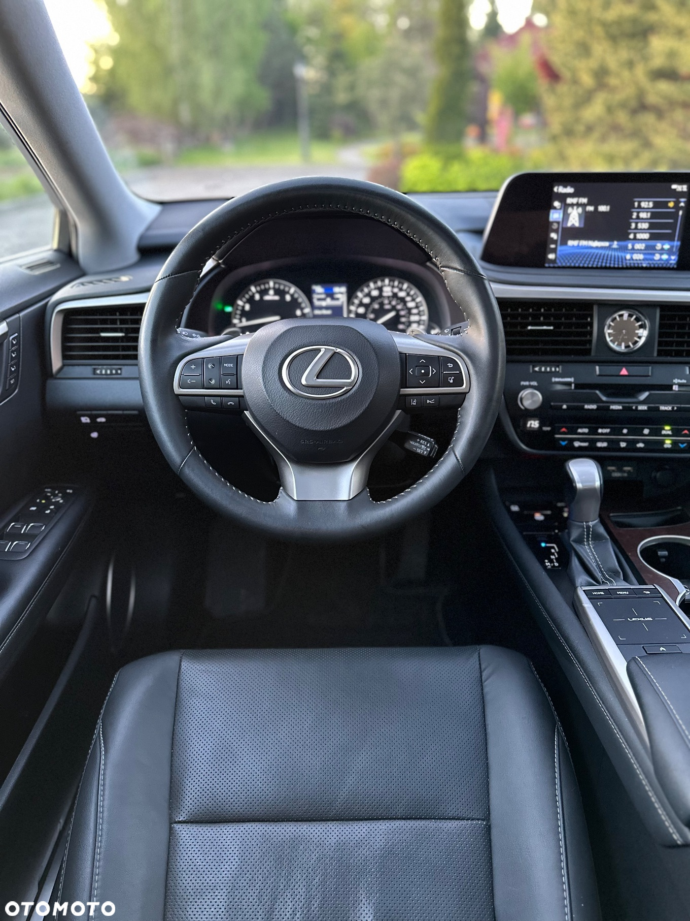 Lexus RX - 18