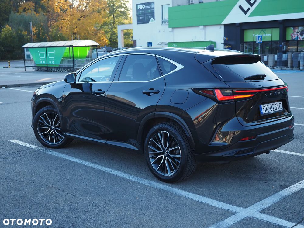 Lexus NX - 18